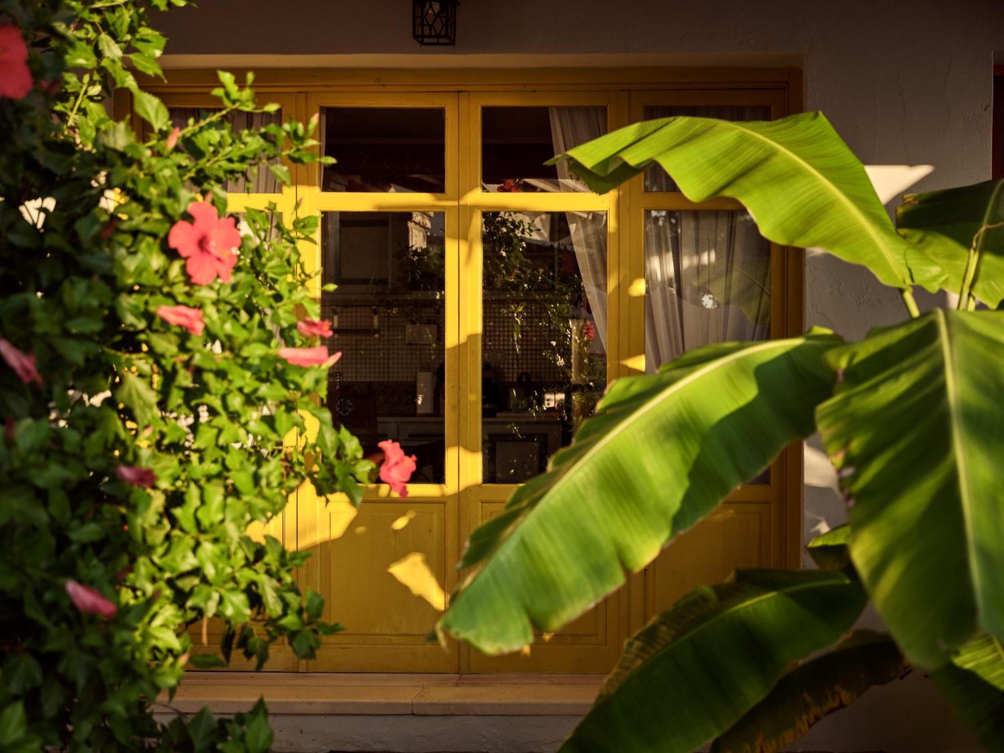 Zakynthos Villas Vasilikí Dış mekan fotoğraf